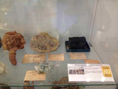 Alcuni minerali 